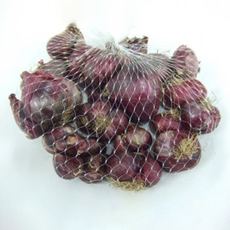 Bawang Merah Rose