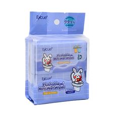 Flushable Mini Wipes