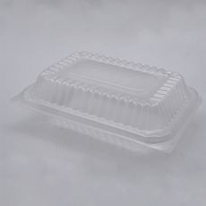 Lunch Box TPI-200