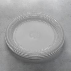Plate 9 Inches