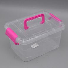 Storage Box Transparent