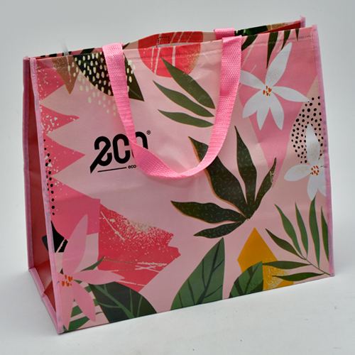 Recycle Bag SY024